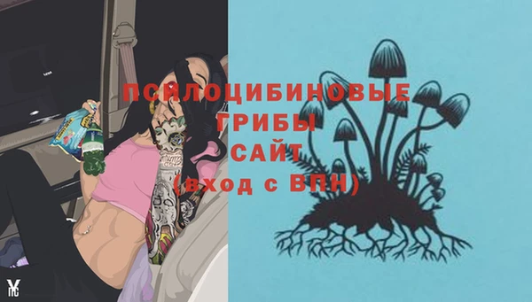 мяу мяу мука Вязники