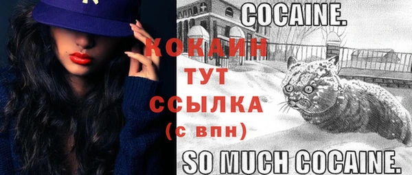 бошки Володарск