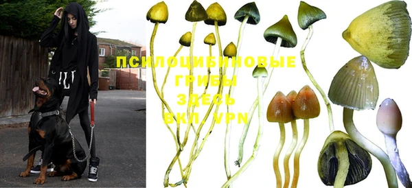 твердый Волоколамск