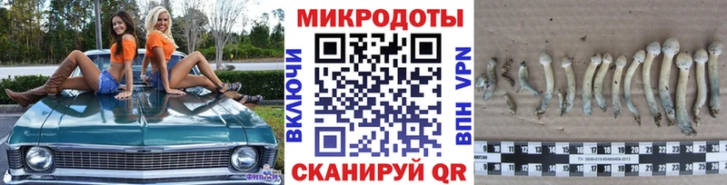 Купить закладки  Сосенский  Псилоцибиновые грибы Psilocybine cubensis 